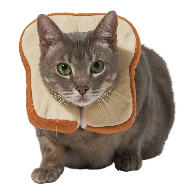 Frisco Bread Cat Costume 3 Frisco Bread Cat Costume