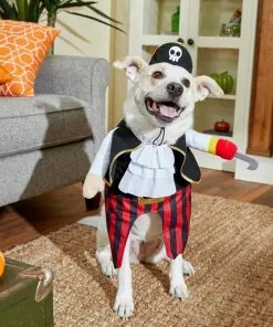 Frisco Front Walking Pirate Dog & Cat Costume -Dog Cat Corner 215477 PT8. SY630 V1599141371