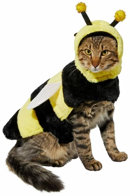 Frisco Bumble Bee Dog & Cat Costume 3 Frisco Bumble Bee Dog & Cat Costume
