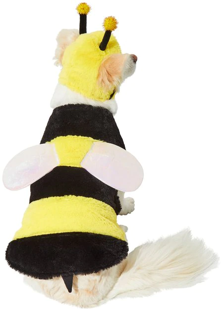 Frisco Bumble Bee Dog & Cat Costume 6 Frisco Bumble Bee Dog & Cat Costume - Image 4