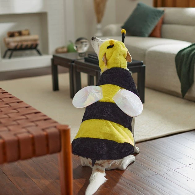 Frisco Bumble Bee Dog & Cat Costume 10 Frisco Bumble Bee Dog & Cat Costume - Image 8
