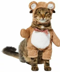 Frisco Front Walking Teddy Bear Dog & Cat Costume