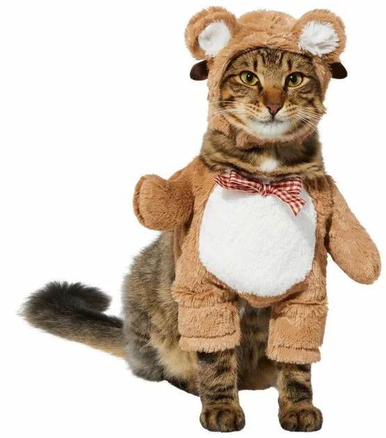 Frisco Front Walking Teddy Bear Dog & Cat Costume 3 Frisco Front Walking Teddy Bear Dog & Cat Costume
