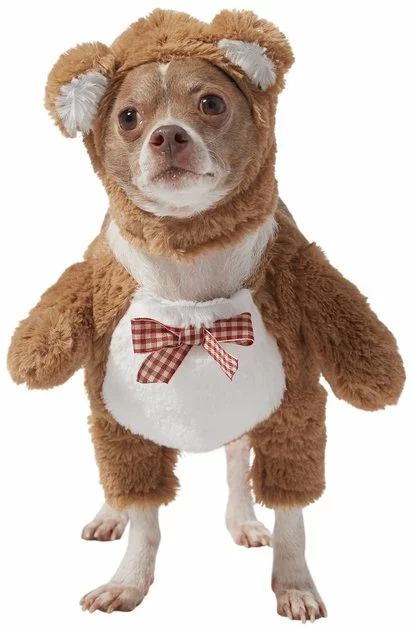 Frisco Front Walking Teddy Bear Dog & Cat Costume 7 Frisco Front Walking Teddy Bear Dog & Cat Costume - Image 5