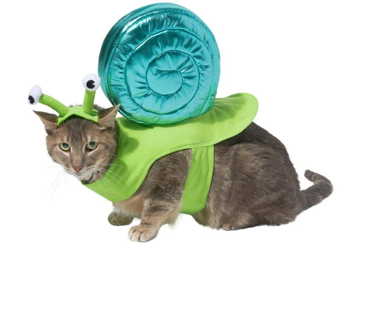 Frisco Snail Dog & Cat Costume 3 Frisco Snail Dog & Cat Costume