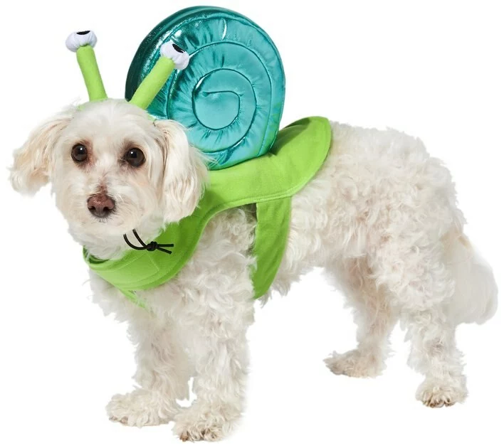 Frisco Snail Dog & Cat Costume 5 Frisco Snail Dog & Cat Costume - Image 3