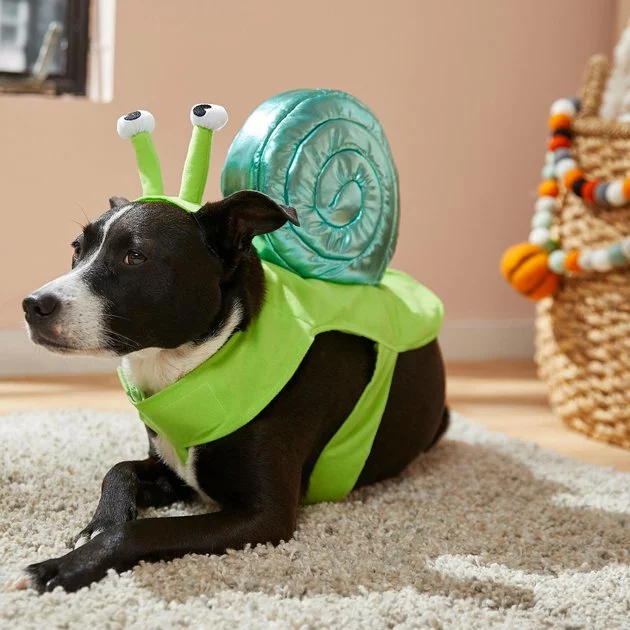 Frisco Snail Dog & Cat Costume 8 Frisco Snail Dog & Cat Costume - Image 6
