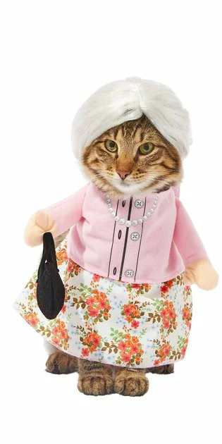 Frisco Front Walking Granny Dog & Cat Costume 3 Frisco Front Walking Granny Dog & Cat Costume
