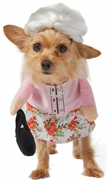 Frisco Front Walking Granny Dog & Cat Costume 7 Frisco Front Walking Granny Dog & Cat Costume - Image 5