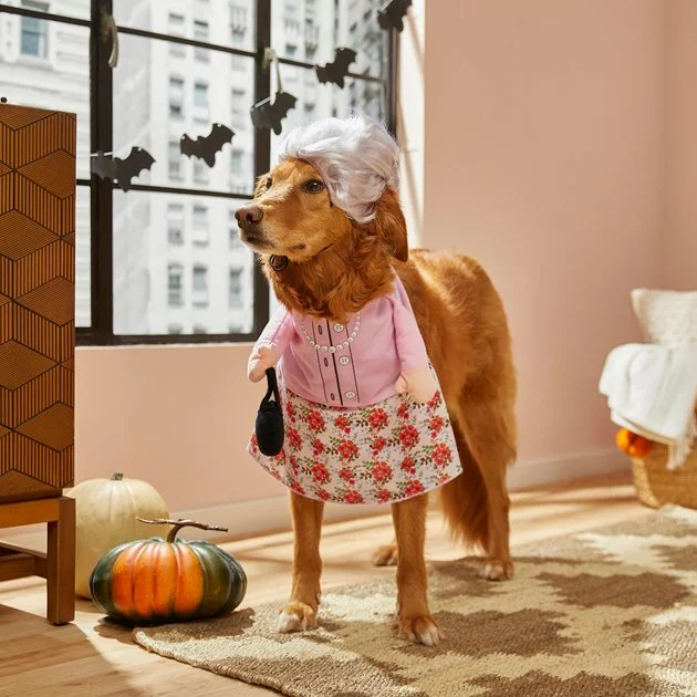 Frisco Front Walking Granny Dog & Cat Costume 10 Frisco Front Walking Granny Dog & Cat Costume - Image 8