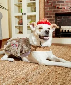 Frisco Zombie Dog & Cat Costume 13 Frisco Zombie Dog & Cat Costume -Dog Cat Corner 215621 PT8. SY630 V1599226676