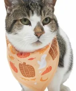 Frisco Whimsical Halloween Dog & Cat Bandana -Dog Cat Corner 215651 PT2. SY630 V1637656899