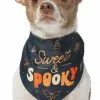 Frisco Sweet & Spooky Dog & Cat Bandana -Dog Cat Corner 215671 MAIN. SY630 V1633728991