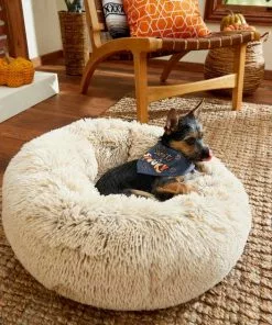 Frisco Sweet & Spooky Dog & Cat Bandana -Dog Cat Corner 215671 PT3. SY630 V1632420698