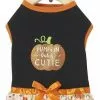 Frisco Pumpkin Patch Cutie Dog & Cat Dress -Dog Cat Corner 215783 MAIN. SY630 V1632429381