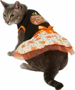 Frisco Pumpkin Patch Cutie Dog & Cat Dress -Dog Cat Corner 215783 PT2. SY630 V1632417114