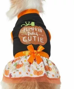 Frisco Pumpkin Patch Cutie Dog & Cat Dress -Dog Cat Corner 215783 PT3. SY630 V1632428193