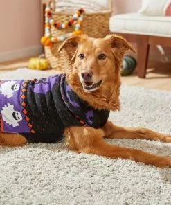 Frisco Spooky Ghost Dog & Cat Sweater -Dog Cat Corner 215797 PT8. SY630 V1599226290