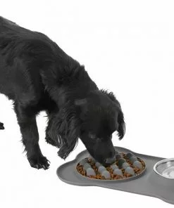 Frisco Silicone Slow Feeder Mat with Stainless Steel Bowl, 1.75 Cups -Dog Cat Corner 215983 PT5. SY630 V1605666752