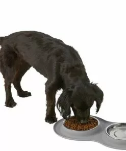 Frisco Double Stainless Steel Dog & Cat Bowl with Silicone Mat, Light Gray, 1.75 Cups -Dog Cat Corner 215986 PT5. SY630 V1605652436