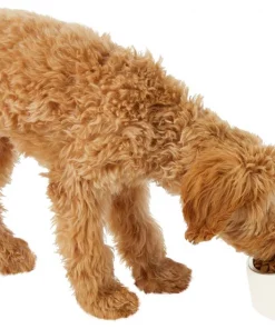 Frisco Slanted Stainless Steel Bowl -Dog Cat Corner 216028 PT6. SY630 V1605666119