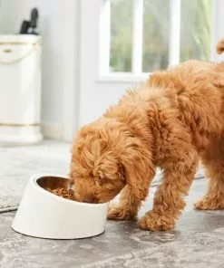 Frisco Slanted Stainless Steel Bowl -Dog Cat Corner 216028 PT7. SY630 V1605653233