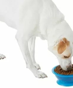 Frisco Plastic Suction Bowl, Blue, 3 Cups 16 Frisco Plastic Suction Bowl, Blue, 3 Cups -Dog Cat Corner 216037 PT6. SY630 V1605662823