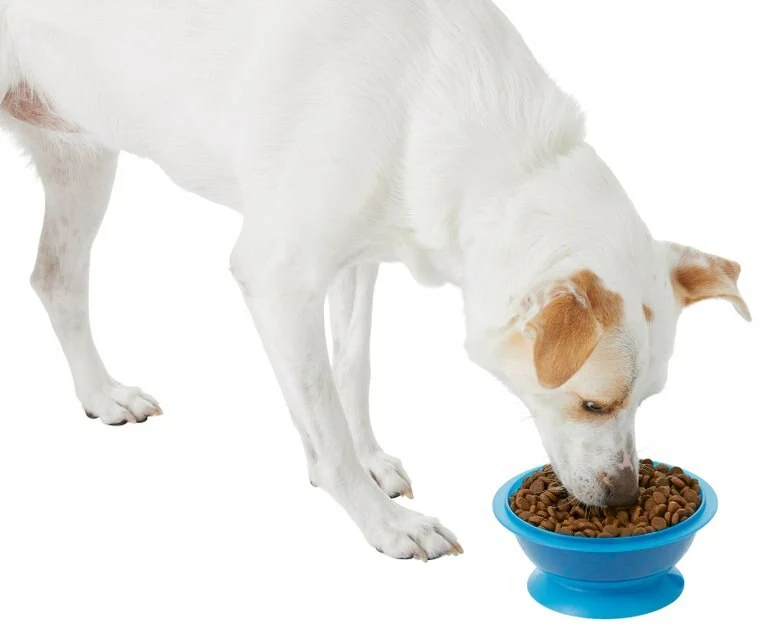 Frisco Plastic Suction Bowl, Blue, 3 Cups 9 Frisco Plastic Suction Bowl, Blue, 3 Cups - Image 7