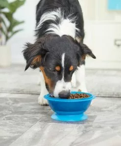 Frisco Plastic Suction Bowl, Blue, 3 Cups 17 Frisco Plastic Suction Bowl, Blue, 3 Cups -Dog Cat Corner 216037 PT7. SY630 V1605666113