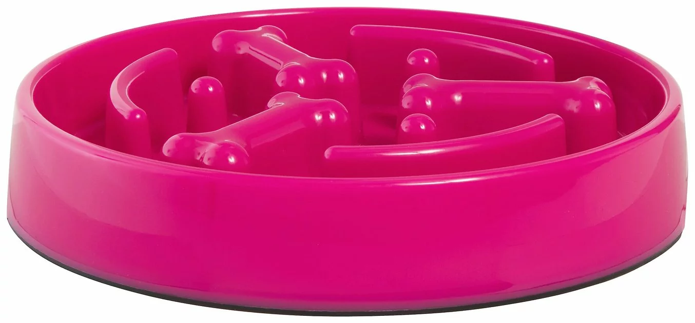 Frisco Bone Shaped Ridges Slow Feed Bowl, 3 Cups 5 Frisco Bone Shaped Ridges Slow Feed Bowl, 3 Cups - Image 3