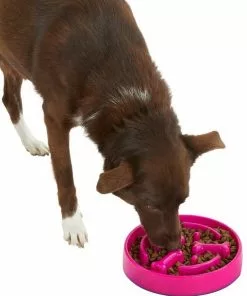 Frisco Bone Shaped Ridges Slow Feed Bowl, 3 Cups 12 Frisco Bone Shaped Ridges Slow Feed Bowl, 3 Cups -Dog Cat Corner 216040 PT6. SY630 V1605656524