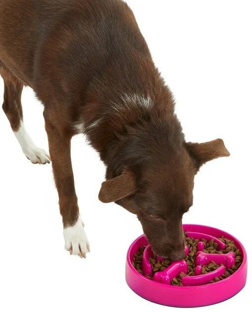 Frisco Bone Shaped Ridges Slow Feed Bowl, 3 Cups 7 Frisco Bone Shaped Ridges Slow Feed Bowl, 3 Cups - Image 5