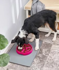 Frisco Bone Shaped Ridges Slow Feed Bowl, 3 Cups 13 Frisco Bone Shaped Ridges Slow Feed Bowl, 3 Cups -Dog Cat Corner 216040 PT7. SY630 V1605655950