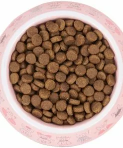 Frisco Pink Cute Cats Melamine Cat Bowl, 1.5 Cup -Dog Cat Corner 216043 PT4. SY630 V1591020694