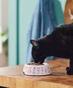 Frisco Pink Cute Cats Melamine Cat Bowl, 1.5 Cup -Dog Cat Corner 216043 PT7. SY630 V1633025211