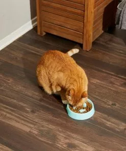 Frisco Fish Shaped Ridges Slow Feed Bowl, Light Blue, 1.25 cups 13 Frisco Fish Shaped Ridges Slow Feed Bowl, Light Blue, 1.25 cups -Dog Cat Corner 216046 PT7. SY630 V1605658037