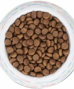 Frisco Colorful Fish Melamine Cat Bowl, 1.5 Cups 12 Frisco Colorful Fish Melamine Cat Bowl, 1.5 Cups -Dog Cat Corner 216047 PT4. SY630 V1591020721