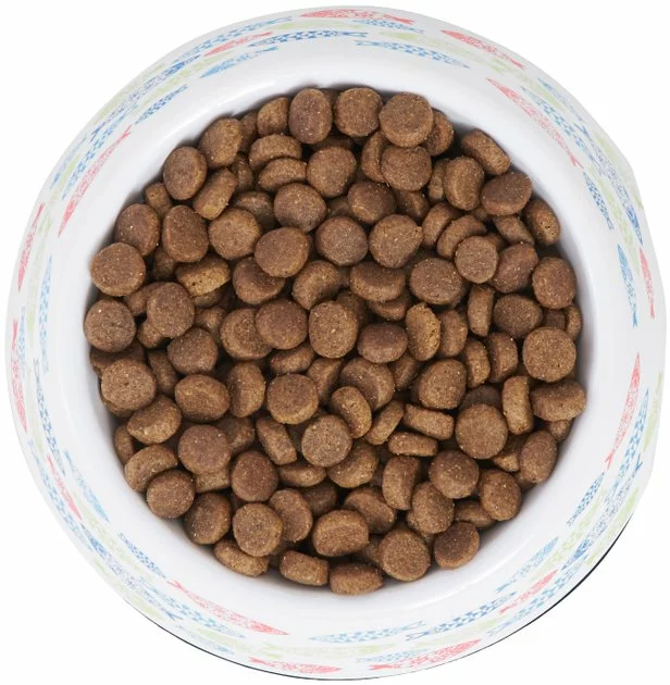 Frisco Colorful Fish Melamine Cat Bowl, 1.5 Cups 7 Frisco Colorful Fish Melamine Cat Bowl, 1.5 Cups - Image 5