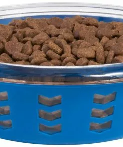 Frisco Chevron Design Glass Bowl with Silicone Sleeve, 4.25 Cups -Dog Cat Corner 216049 PT2. SY630 V1591020725