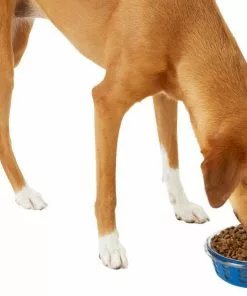 Frisco Chevron Design Glass Bowl with Silicone Sleeve, 4.25 Cups -Dog Cat Corner 216049 PT6. SY630 V1605654757