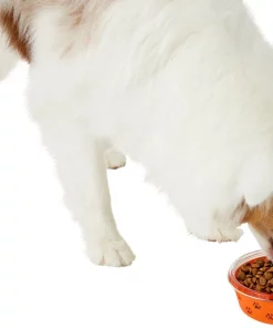 Frisco Paw Design Glass Bowl with Silicone Sleeve, 3 Cups -Dog Cat Corner 216055 PT6. SY630 V1605655922