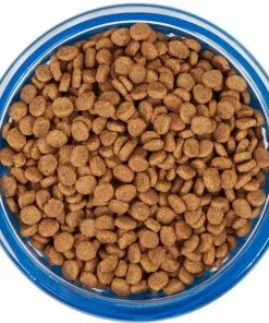 Frisco Cat Design Glass Bowl with Silicone Sleeve, 1.5 Cups -Dog Cat Corner 216057 PT4. SY630 V1591020958