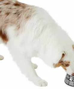 Frisco Doggie Melamine Bowl, 3 Cup 14 Frisco Doggie Melamine Bowl, 3 Cup -Dog Cat Corner 216062 PT6. SY630 V1605663429