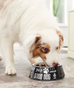 Frisco Doggie Melamine Bowl, 3 Cup 15 Frisco Doggie Melamine Bowl, 3 Cup -Dog Cat Corner 216062 PT7. SY630 V1605658314