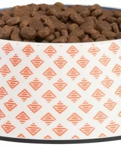 Frisco Southwest Melamine Bowl, 3 Cup -Dog Cat Corner 216064 PT2. SY630 V1591020999