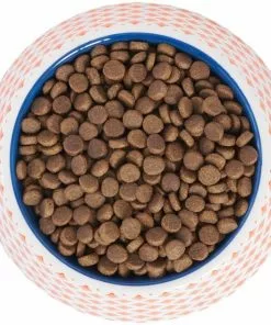 Frisco Southwest Melamine Bowl, 3 Cup -Dog Cat Corner 216064 PT4. SY630 V1591021009