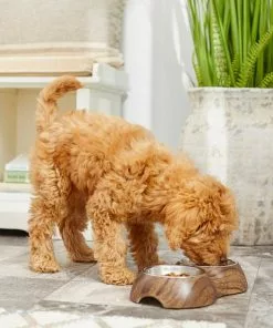 Frisco Double Stainless Steel Bowl, Wood Design, 0.75 Cup 15 Frisco Double Stainless Steel Bowl, Wood Design, 0.75 Cup -Dog Cat Corner 216068 PT7. SY630 V1605666481