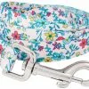 Frisco Spring Floral Polyester Dog Leash -Dog Cat Corner 218219 MAIN. SY630 V1590604346
