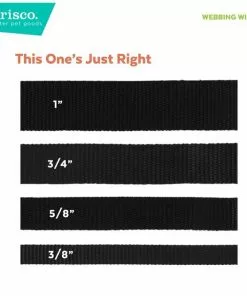 Frisco Tie Dye Swirl Polyester Dog Collar -Dog Cat Corner 218240 PT5. SY630 V1629151019