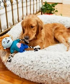 Frisco Zombie Boy Plush with Rope Squeaky Dog Toy -Dog Cat Corner 218569 PT6. SY630 V1597599376